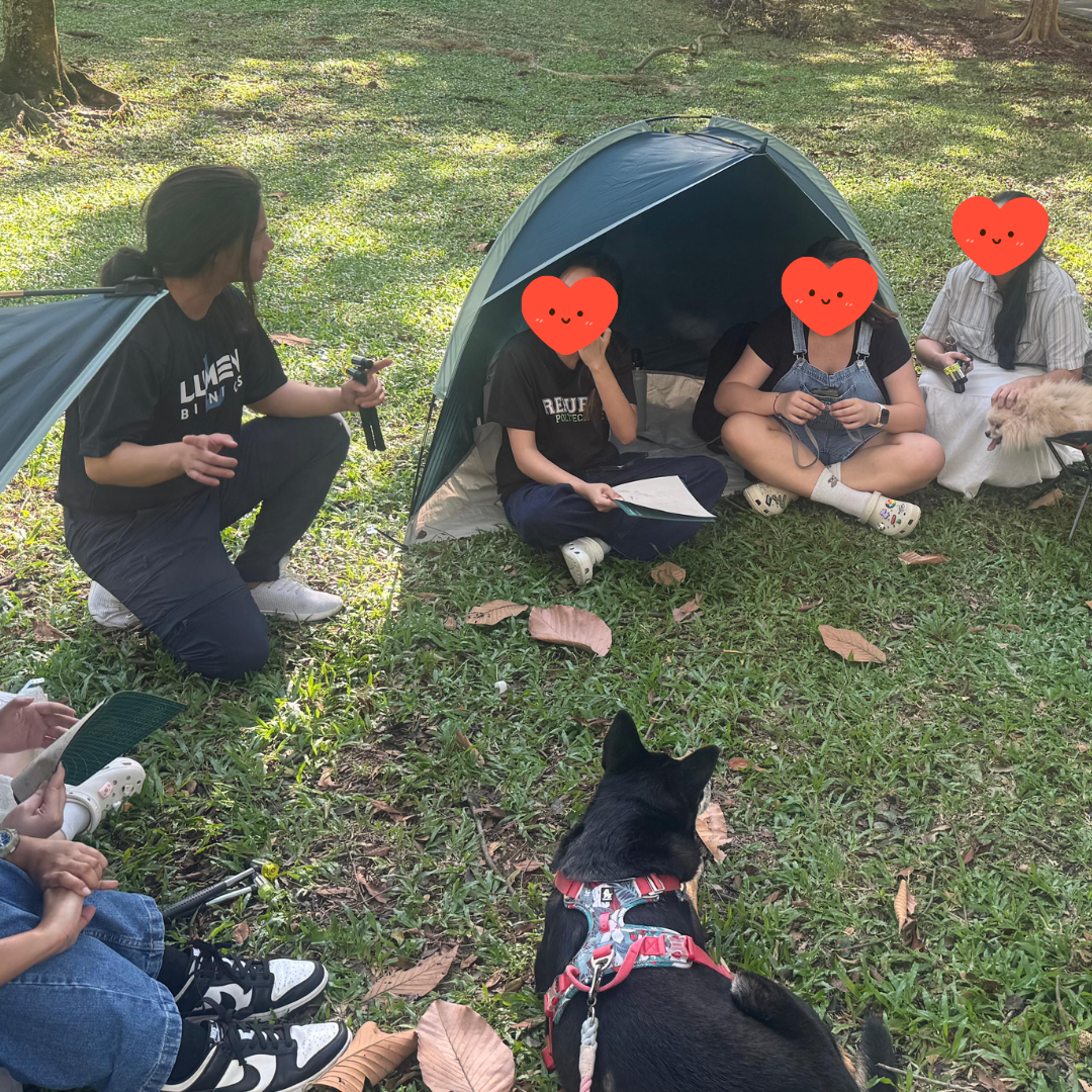 Animal therapy team evaluation